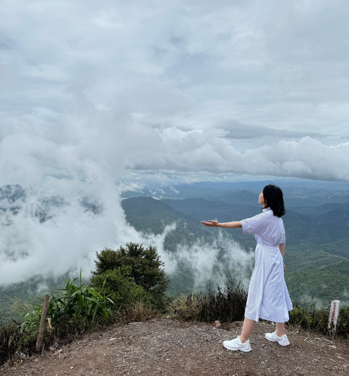[혼자여행] 태국 구름멍 힐링장소 추천! 현지인만 아는 숨은 곳 펫차분